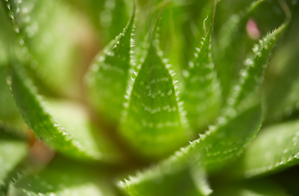 LR Aloe vera szemkörnyékápoló 15 ml