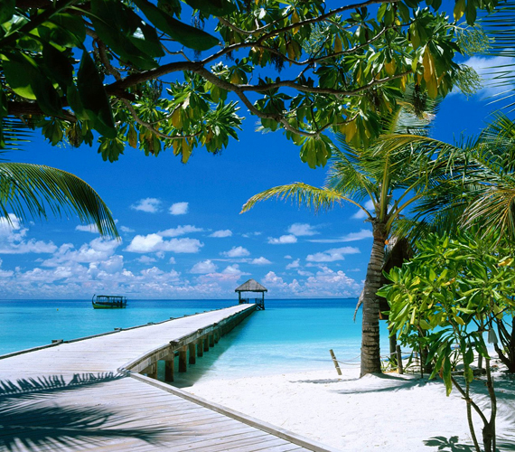 	Az Indiai-óceánon található Maldív-szigetek talán a legismertebbnek számítanak, ha süllyedő helyekről van szó.