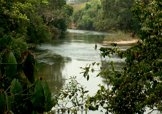 	Szintén az ő nevéhez köthető az afrikai Kuango-folyó felső folyásának felfedezése.