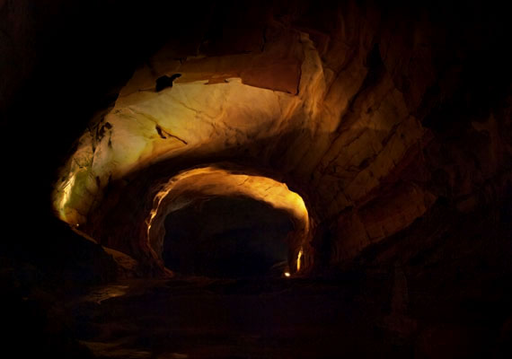 
                        	A Phong Nha-barlang is ebben a parkban található, érdekessége pedig, hogy egészen addig Vietnam legnagyobbjának tartottak, amíg fel nem fedezték, hogy a Hang Son Doong ötször hatalmasabb.
