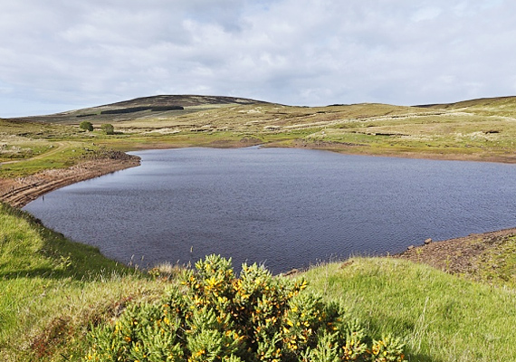 
                        	Az írországi Loughareema-tó környezeti sajátossága a tőzegtalaj, mely gyorsan elnyeli a tó vizét, így olykor száraz domborzat, máskor pedig méretes vízfelület várja az ide látogatókat.