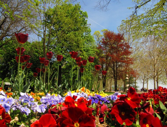 	Az ébredező természetet, a színpompás tavaszi virágokat szintén csak ebben az évszakban csodálhatod meg. A képen a balatonfüredi Tagore sétány részlete látható.