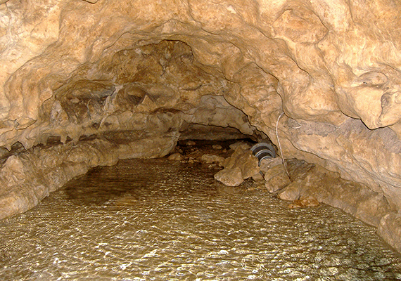 	Tapolca tavasbarlangja is igazi különlegesség, egy része ugyanis csónakos túra keretében is megtekinthető. Az 1903-ban, kútásás közben felfedezett barlang a város alatti, tíz kilométer hosszú barlangrendszer része.