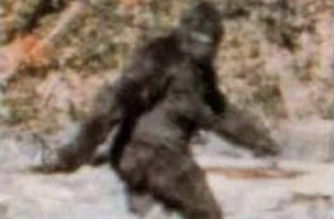 Állítólag így néz ki Bigfoot