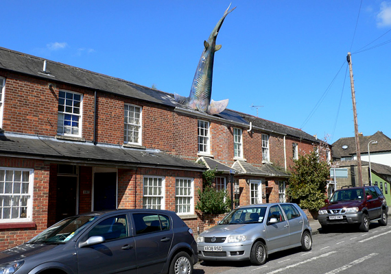 
                        	A híres Headington Shark 1986-ban került a ház tetejére, a tulaj elképzelése alapján. Az oxfordi városi tanács el akarta távolíttatni, azonban kiderült, hogy a cápa nem sért meg semmiféle szabályt.