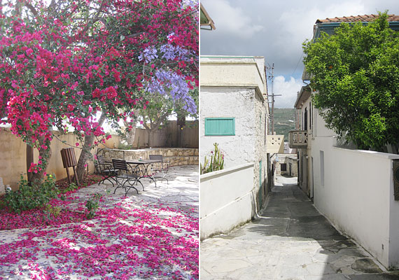 	Bár Ciprus néhol kopár, a legtöbb növény egyszerűen remekül érzi magát a mediterrán klímán. Utazásra a legalkalmasabb a június vagy a szeptember, júliusban és augusztusban nagyon meleg van a szigeten.
