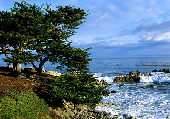 	Pacific Grove a Monterey-öböl mellett fekszik, így nem csak a pillangópopuláció látványa csodálatos.