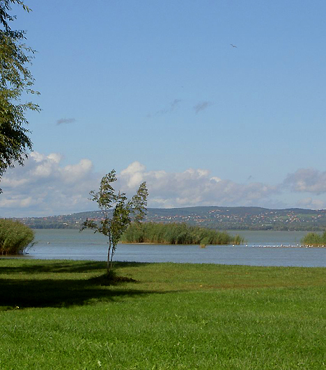 A Balaton elnevezés a szláv blato szóból származik, mely mocsarat, lápot, sarat jelent. Latin elnevezése, a Lacus Pelso, illetve a németek közkedvelt Plattensee szava egyaránt a tó sekély voltára utal.