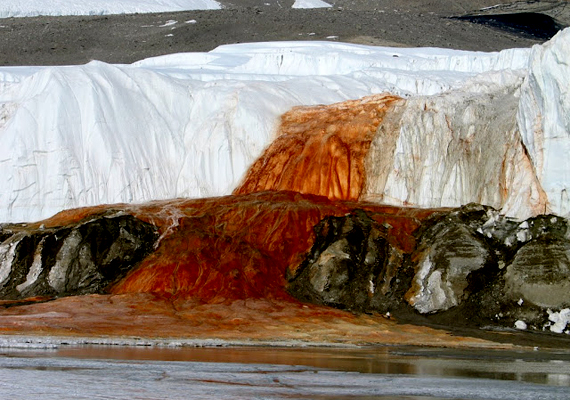 
                        	Az antarktiszi Blood Falls, vagyis Vérvízesés csak elsőre tűnik ijesztőnek, valójában ugyanis a vas-oxidnak köszönheti vörös színét, melyet mikroorganizmusok szabadítanak fel a jég alatti kőzetekből.