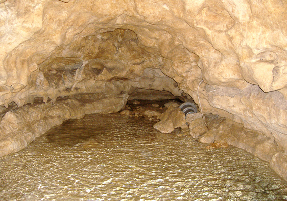 	A Tapolcai-tavasbarlangot még a huszadik század legelején fedezték fel egy mélyfúrásnak köszönhetően. 1913-ban már a látogatók előtt is megnyitották, ma bárki élvezheti a romantikus, föld alatti csónaktúrát.