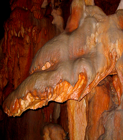 
                        	Aggteleki barlangrendszer
                        	Az Aggteleki barlangrendszer egyike hazánk azon természeti csodáinak, melyek az UNESCO Világörökség listáján is szerepelnek. Itt található hazánk legrégebben kutatott és talán legszebb cseppkőbarlangja, a Baradla-barlang is, melynek bejárása életre szóló élménnyel szolgál a kirándulók számára.