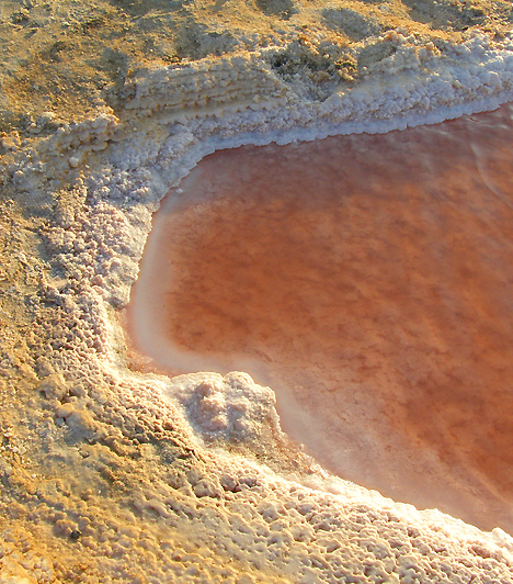  	Chott El-Jarid, Tunézia  	Chott El-Jarid a világ egyik legnagyobb sós vizű tava, egyben termáltava, melynek vize semmilyen módon nem táplálkozik a tengerből. Ha túl száraz a nyár, a tó kiszárad, egy kétezer négyzetméteres sós gödröt hagyva maga után, mely mellett az idelátogató a délibáb-jelenségek egyik legkülönlegesebb formájával találkozhat.