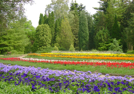 
                        	Vácrátót Budapest központjától mindössze 35 kilométerre fekszik. Itt található az ország legnagyobb botanikus kertje és egyben leggazdagabb élőnövény-gyűjteménye is.