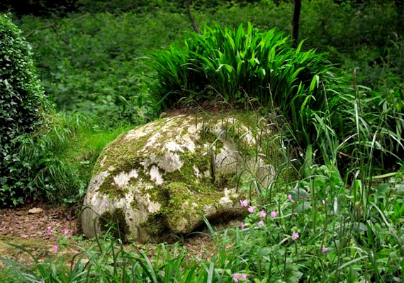 	Az angliai Heligan elveszett kertjei a számtalan növényritkaság mellett misztikus, halottaknak látszó, fekvő alakjaikról is híresek. Ha többet akarsz tudni a helyről, kattints ide!
