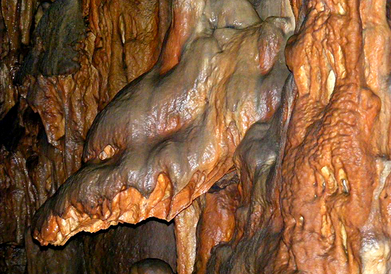 	Az UNESCO Világörökség részét képező Aggteleki-karszt barlangrendszerben, azon belül is a Baradla-barlangban olyan csodák tekinthetők meg, mint a Hangversenyterem, az Anyósnyelv, az Óriások terme vagy a Tigris, nem utolsósorban pedig a híres Sárkányfej.