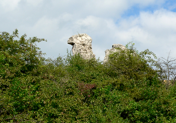 	A pilisborosjenői Teve-szikla is megér egy kirándulást. Ha többet szeretnél tudni róla, kattints ide!