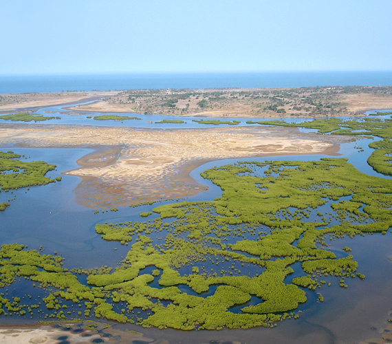	A szenegáli Saloum-delta csatornákkal, szigetekkel és erdőkkel tarkított vidékét három folyó formálta. Az itteniek életét évszázadok óta a halászat határozza meg.