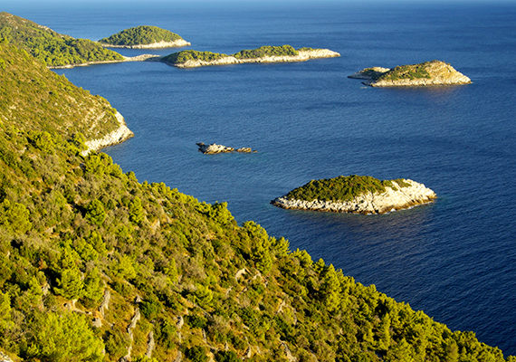 	Sok horvát szigettől eltérően korántsem kopár, dúsan zöldellő erdők foglalják el a sziget csaknem egészét.