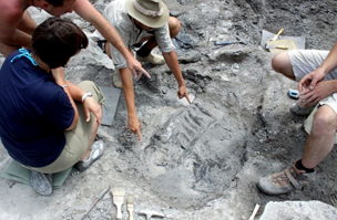 Újabb és újabb csontokat fedeztek fel