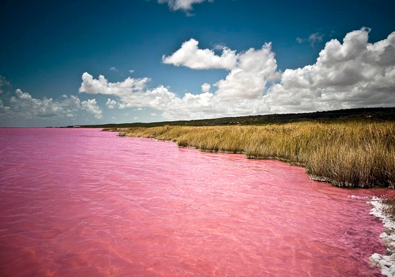 	A szenegáli Retba-tó rózsaszín vize a cianobaktériumoknak köszönhetően alakult ki.