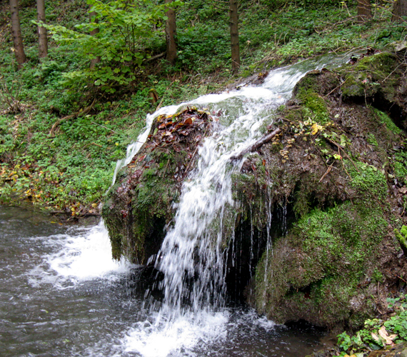 	A völgyben kirándulók útját a Szalajka-patak és a hozzá kapcsolódó változatos természeti értékek kísérik végig.