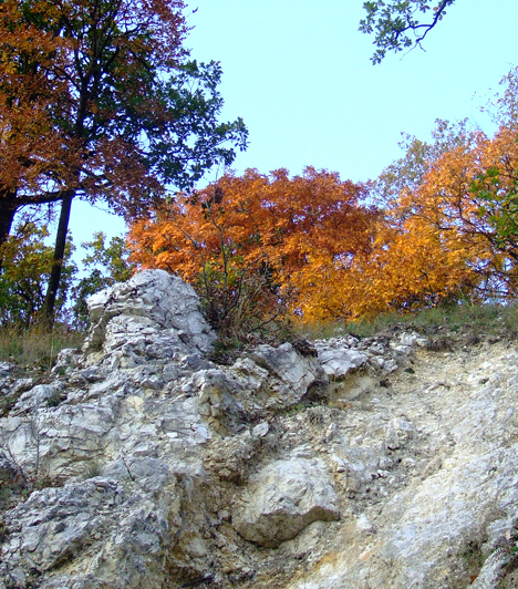 
                        	Vértes
                        	A Vértes-hegység a Bakony és a Gerecse között terül el. Ha nem esik az eső, a környék ősszel is remek kirándulóhelyként szolgál, köszönhetően a természet nyugalmának, nem utolsósorban pedig az olyan látnivalóknak, mint a Gánti-barlang, a Vértessomlói-barlang, Vitányvár vagy Várgesztes vára.