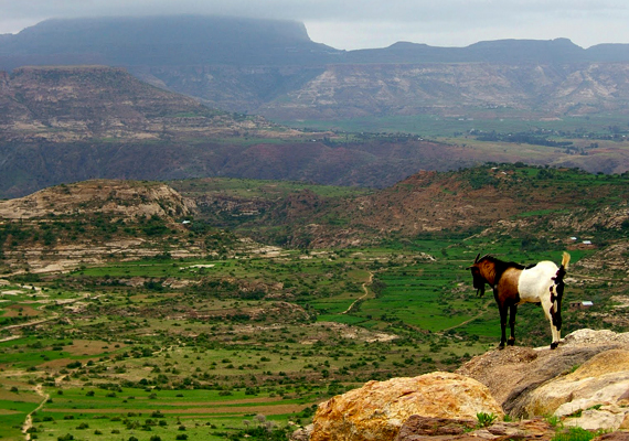
                        	Az Etióp-magasföld szigetszerűen emelkedik ki környezetéből, és csak igen kis része fekszik 1500 méteres tengerszint alatt. Csúcsai a 4500 métert is meghaladják.