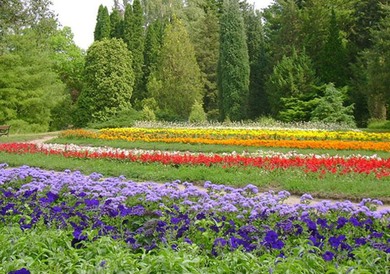 	A Budapesttől északra található Vácrátóti Arborétum hazánk leggazdagabb tudományos élőnövény-gyűjteménye. Színpompás virágai, valamint májusban meseszép cseresznyefajai téged is elvarázsolnak.