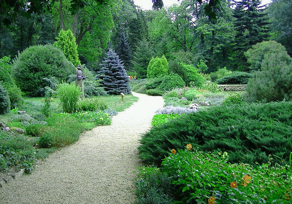 	A Zirci Arborétum az ország legmagasabban fekvő botanikus kertje. Az angolkert stílusban kialakított gyönyörű hely számos virággal büszkélkedhet, élőfa gyűjteménye pedig világszinten jegyzett.