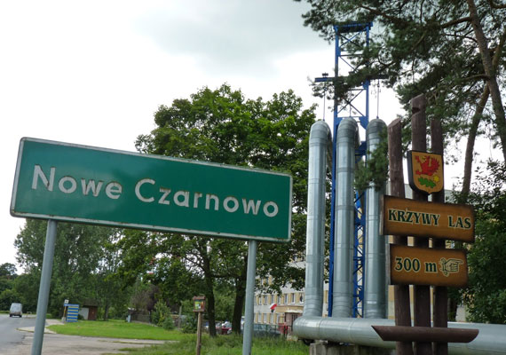	A misztikus hely a lengyelországi Nowe Czarnowo falunál található, ahol 1930-ban 400 darab fát ültettek. Míg az első hét-tíz évben normálisan fejlődtek, később a földdel párhuzamosan kezdtek nőni.