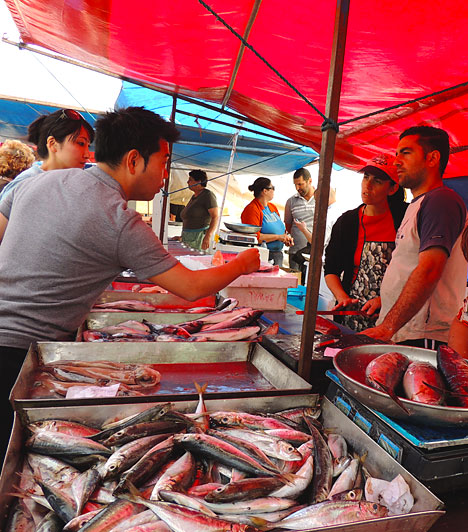  	A marsaxlokki halpiac  	A zsibvásár mellett kezdődik a halpiac, ahol a szó szoros értelmében friss az áru, a tengerből egyenesen az árusok asztalára kerül. Talán éppen ennek köszönhető, hogy a megszokott, fojtogató, nehéz halszag helyett a sós levegő és a friss halhús illata keveredik. Az alkudozás és hangos diskurzus itt szintén a vásárlás kötelező része, ahogy a piac többi részén is. 	 