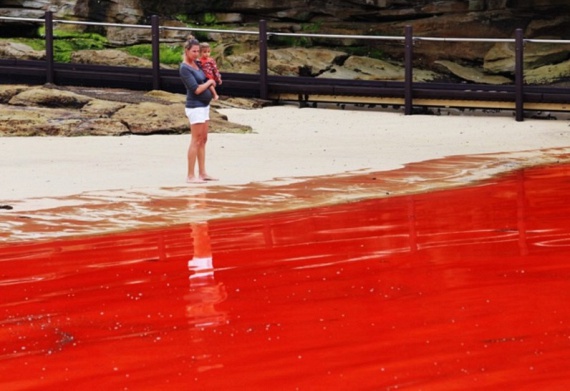 	A vörös dagálynak nevezett jelenség hátborzongató látványt nyújt. A vérvörössé változó tengervíz főként Afrika keleti partjainál jellemző, a természet furcsa játéka pedig az élővilágra is veszélyes. A felmelegedő vízben a páncélos ostorosmoszatok szaporodni kezdenek, a vizet pigmentjeik színezik pirosra. Az általuk termelt méreg képes megölni a halakat, a fertőzött állatok elfogyasztása pedig az emberre is veszélyes.