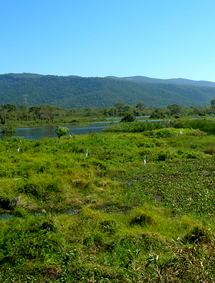A Pantanal