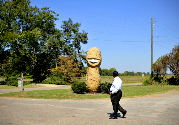 
                        	A georgiai földimogyoró szobor az amerikai politikust, Jimmy Cartert mintázza, aki maga is mogyorófarm-tulajdonos volt.