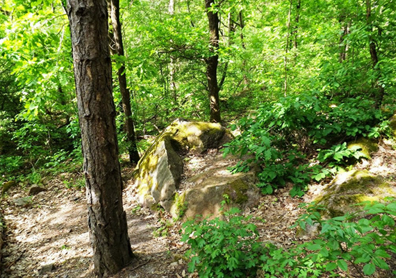 	A terület egyik legismertebb szikladarabja, a Szarkofág-kő.