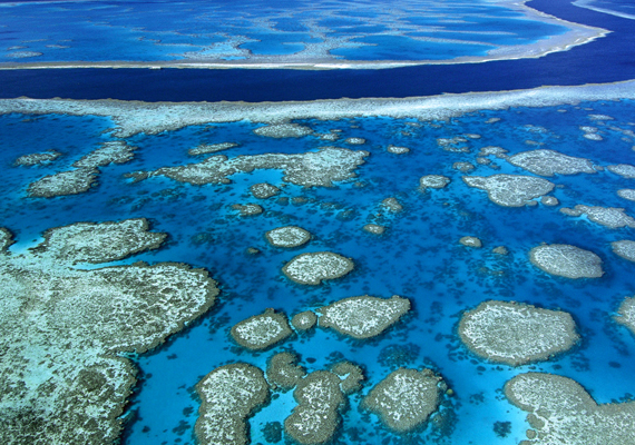 	Földünk legnagyobb korallzátonya, a Nagy korallzátony nemcsak az egyik legszebb, de sajnos az egyik leginkább veszélyeztetett természeti csodának számít. Kattints ide a háttérképért!