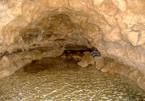 	A Tapolca alatt található barlangrendszer egy részét víz borítja, a látogatók csónakkal közlekedhetnek benne.