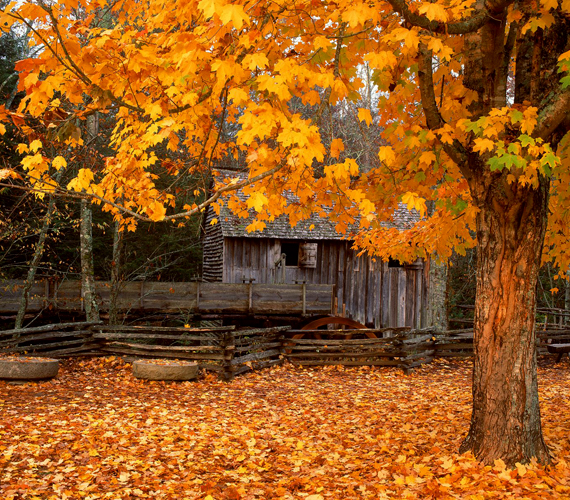  	A Great Smoky-hegység környéke ősszel is az USA egyik legszebb nemzeti parkja. Kattints ide a háttérképért!
