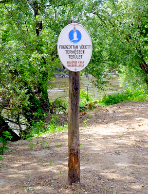 Természetvédelmi terület a Drávánál