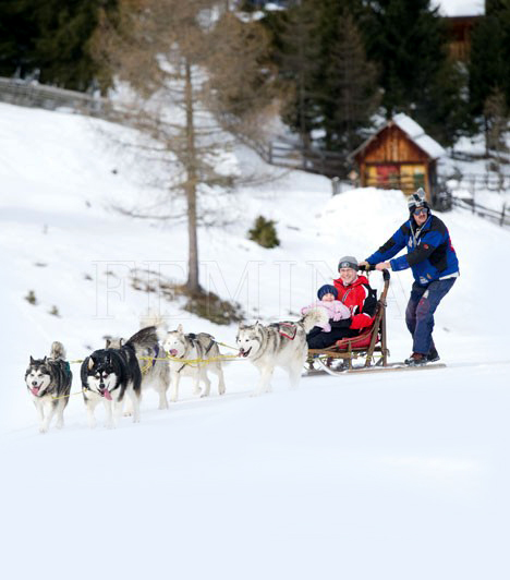 
                        	Kirándulás kutyaszánnal
                        	Akinek a lovasszán túl tradicionális, annak lehetősége van husky szánhúzáson részt venni. A pálya megtételében képzett hajtók segítenek.