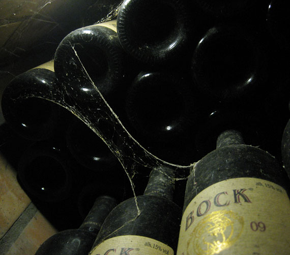 	Bortrezor a borászat pincéjében, ide lehet gyűjteni a kedvenc Bock-borokat.