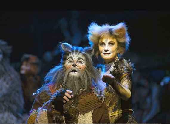 A Broadway és a West End egyik leghosszabb ideje futó és legsikeresebb show-jának világ turnéja már több mint 300 városban varázsolta el a közönséget szerte a világon. A Macskák musical a fantasy, dráma és a romantika keveréke. Eddig több mint 50 millió ember látta, 26 országban mutatták be és 10 nyelvre fordították le.